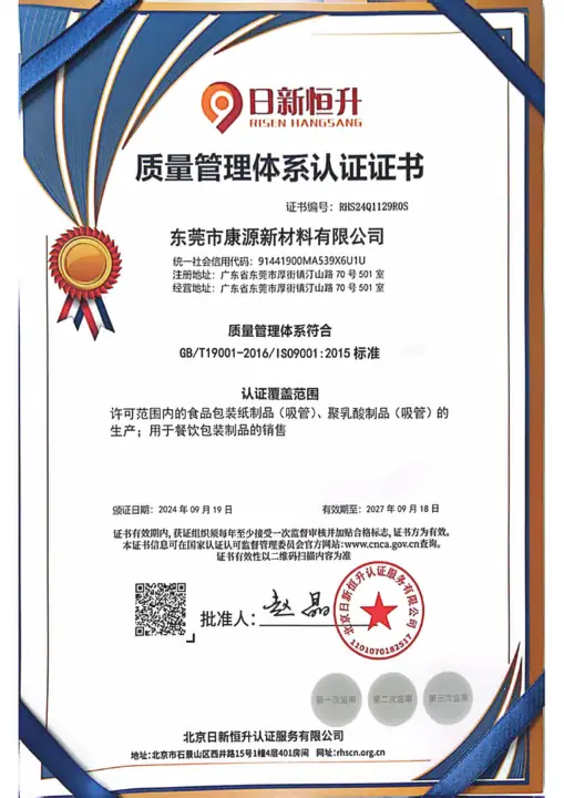 Lightly fogged partner ISO 9001 record review page 1 of 2