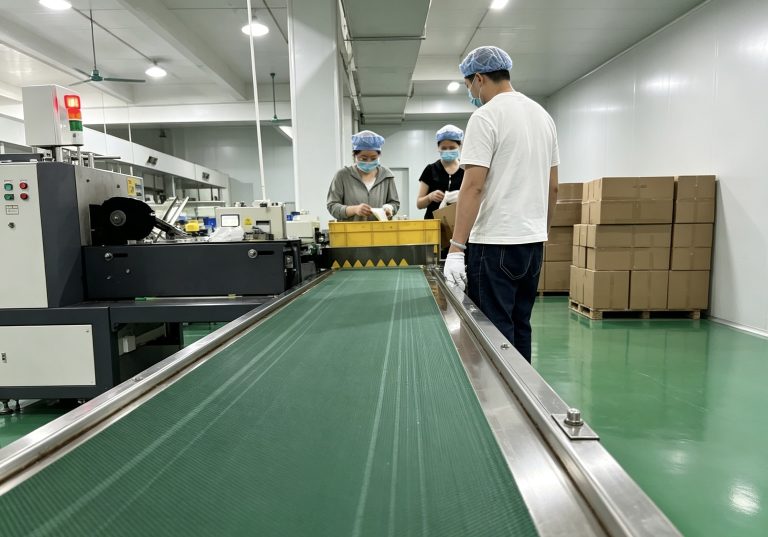 Conveyor checkpoint used during production quality control