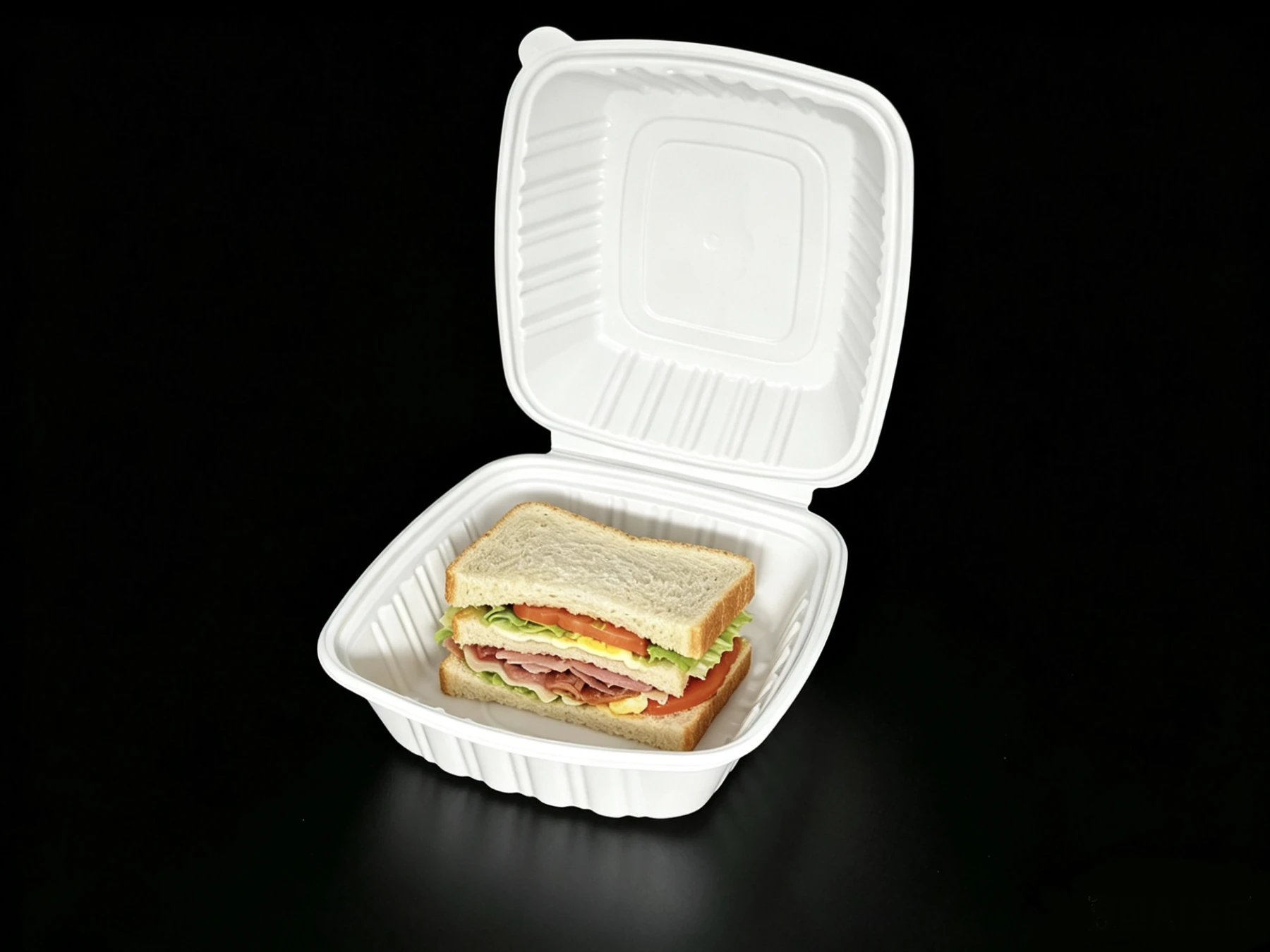 Front portrait view of a PH60 container holding a sandwich